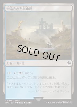 画像1: 【日本語版】汚染された帯水層/Contaminated Aquifer