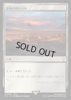 画像1: 【日本語版】僻地のぬかるみ/Desolate Mire