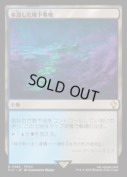 画像1: 【日本語版】水没した地下墓地/Drowned Catacomb