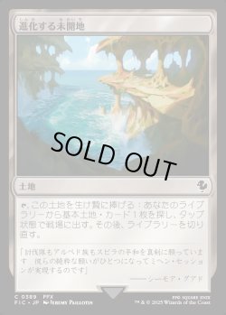 画像1: 【日本語版】進化する未開地/Evolving Wilds
