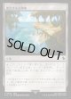 【日本語版】進化する未開地/Evolving Wilds