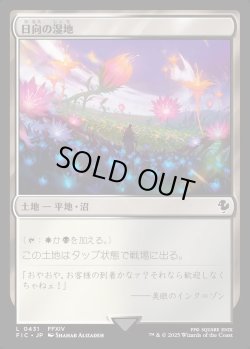 画像1: 【日本語版】日向の湿地/Sunlit Marsh