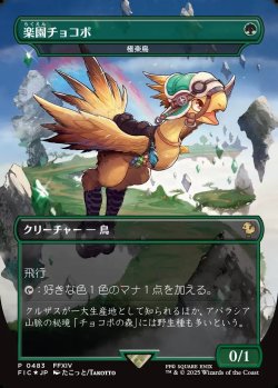 画像1: 【Foil】【日本語版】【楽園チョコボ】極楽鳥/Birds of Paradise