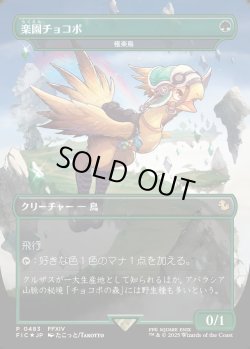 画像1: 【Foil】【日本語版】【楽園チョコボ】極楽鳥/Birds of Paradise