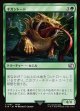 【日本語版】ギガントード/Gigantoad