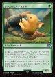 【日本語版】サッズのヒナチョコボ/Sazh's Chocobo