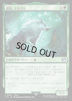 画像1: 【Foil】【日本語版】盟友、トルガル/Torgal, A Fine Hound