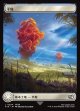 【フルアート】【日本語版】平地/Plains
