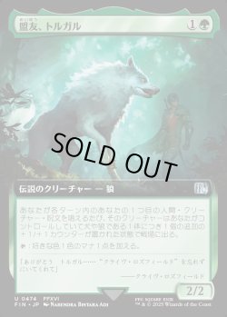 画像1: 【Foil】【拡張枠】【日本語版】盟友、トルガル/Torgal, A Fine Hound
