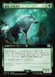 【拡張枠】【日本語版】盟友、トルガル/Torgal, A Fine Hound