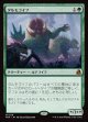 【日本語版】タルモゴイフ/Tarmogoyf