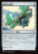 【日本語版】医学生の帆凧/Medic's Kitesail