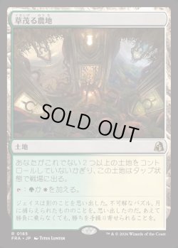 画像1: 【Foil】【日本語版】草茂る農地/Overgrown Farmland