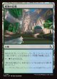 【日本語版】変容の広場/Transformative Commons