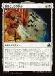 【日本語版】導師としての歩み/Way of the Mentor