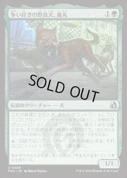 画像1: 【日本語版】争い好きの野良犬、義丸/Yoshimaru, Scrappy Stray