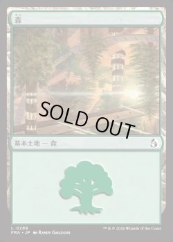 画像1: 【日本語版】森/Forest