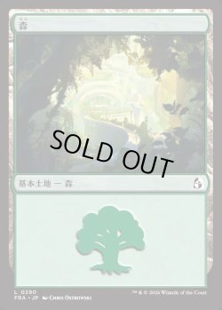 画像1: 【日本語版】森/Forest