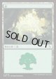【日本語版】森/Forest