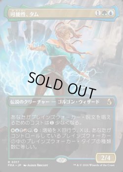 画像1: 【日本語版】【ボーダーレス】可能性、タム/Tam, the Possibility