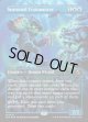 『Foil』『英語版』『Secret Lair Bundle』歴戦の冷術士/Seasoned Cryomancer