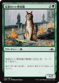画像1: 【日本語版】気前のいい野良猫/Generous Stray