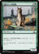 【日本語版】気前のいい野良猫/Generous Stray