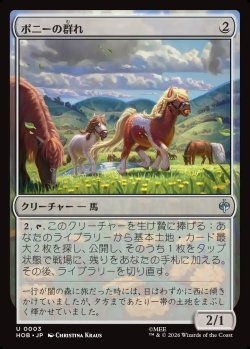 画像1: 【日本語版】ポニーの群れ/Troop of Ponies