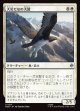 【日本語版】大岩だなの大鷲/Eagle of the Great Shelf