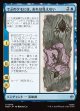 【日本語版】でぶのクモには、おれは見えない/Old Fat Spider Can't See Me