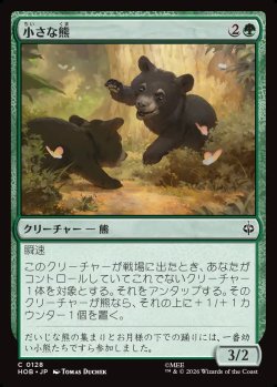 画像1: 【日本語版】小さな熊/Little Bear