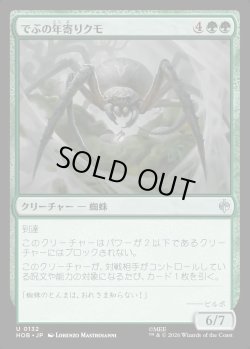 画像1: 【日本語版】でぶの年寄りクモ/Old Fat Spider