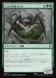 【日本語版】でぶの年寄りクモ/Old Fat Spider