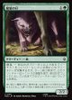 【日本語版】魔狼の仔/Wargling