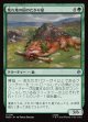 【日本語版】荒れ地の国のたかり屋/Wilderland Scrounger