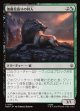 【日本語版】薄暮見張りの狩人/Duskwatch Hunter