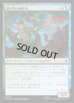 画像1: 【日本語版】闇の森の養育者/Mirkwood Nurturer