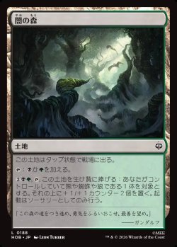 画像1: 【日本語版】闇の森/Mirkwood