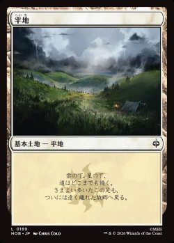 画像1: 【日本語版】平地/Plains
