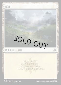 画像1: 【日本語版】平地/Plains