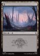 【日本語版】沼/Swamp
