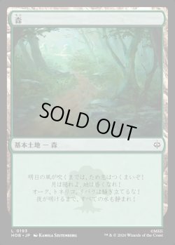 画像1: 【Foil】【日本語版】森/Forest