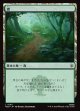 【日本語版】森/Forest