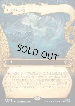 画像1: 【Foil】【日本語版】【竜の財宝フレーム】エルフの小道/Elven Passage