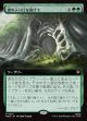 【日本語版】【拡張枠】森の入り口を抜けて/Through the Forest Gate