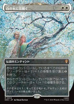 画像1: 【日本語版】【中つ国クラシックアーティスト・カード】白の木に花開く/Flowering of the White Tree