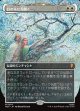 【Foil】【日本語版】【中つ国クラシックアーティスト・カード】白の木に花開く/Flowering of the White Tree