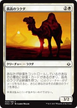 画像1: 【日本語版】孤高のラクダ/Solitary Camel