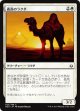 【日本語版】孤高のラクダ/Solitary Camel