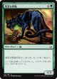 【日本語版】残忍な野猫/Feral Prowler